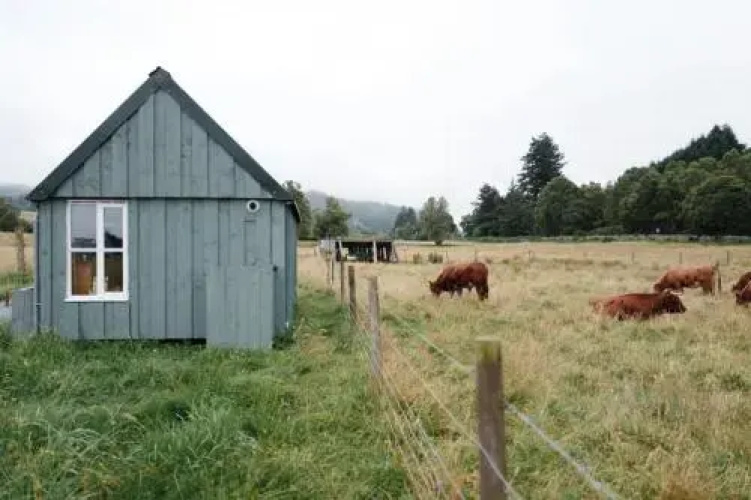 The Field House