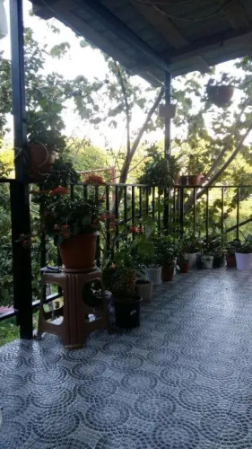 Afsaros