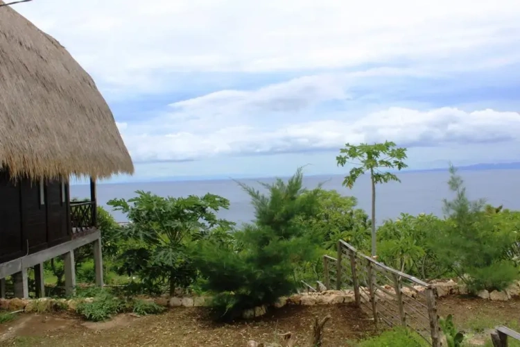 Deluxe Bungalow