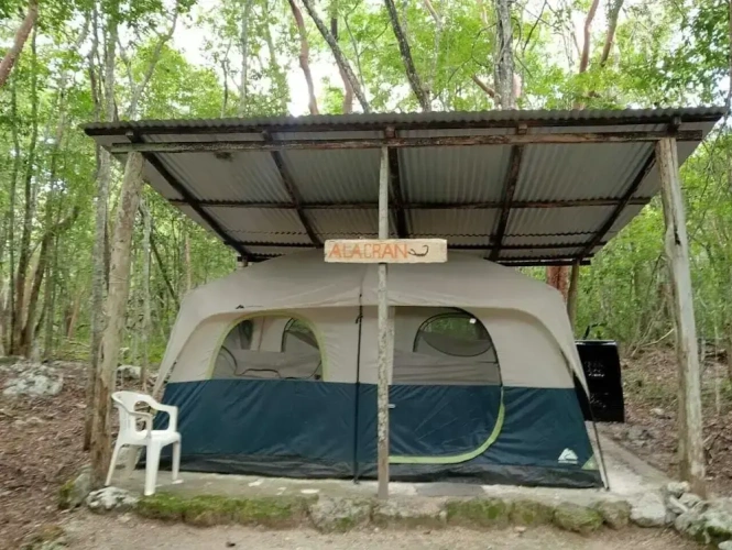 Tent