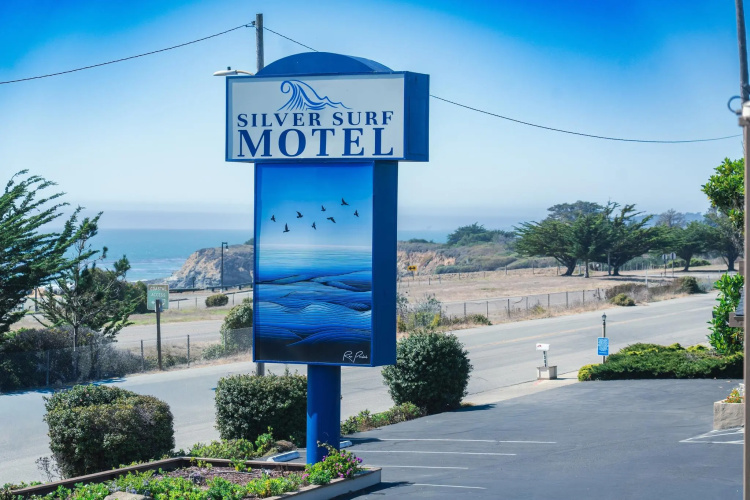 Silver Surf photo 16