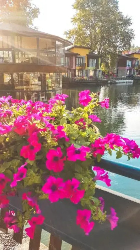 Waterside Houses