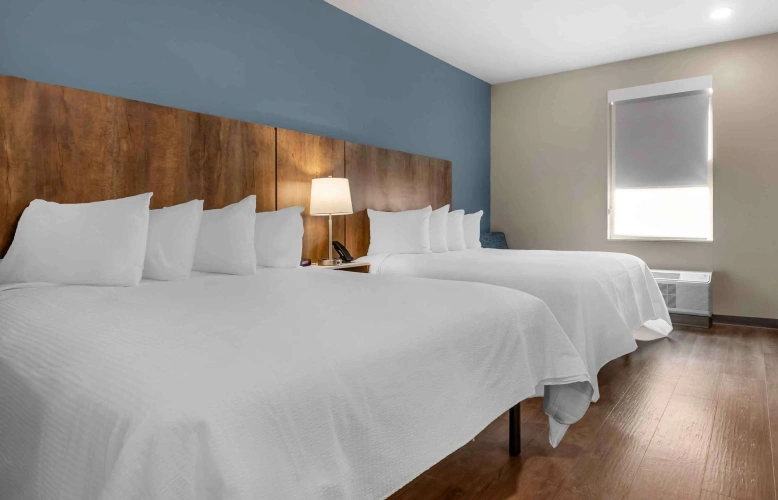 Quadruple Suite
