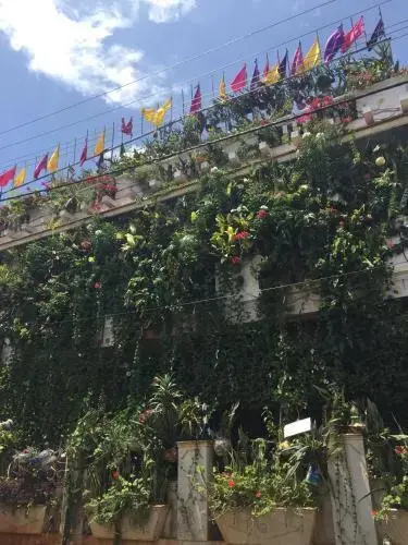 Vertical Garden Hostel