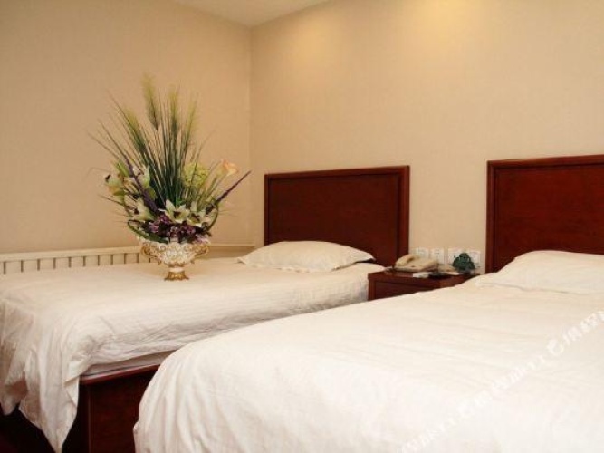 Superior Twin Suite