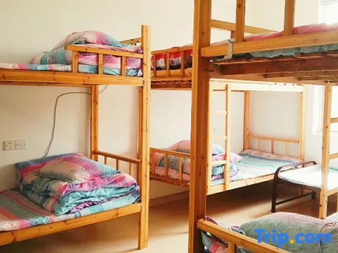 Bed in Dorm (female dorm)