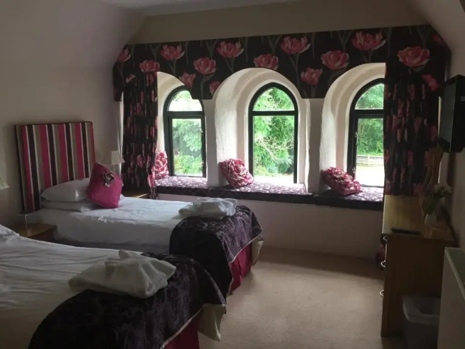 Standard Twin room with view