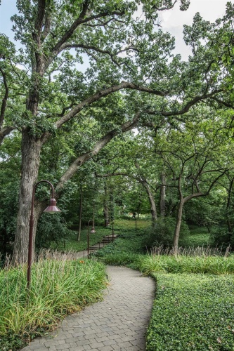 Hyatt Lodge Oak Brook Chicago photo 32
