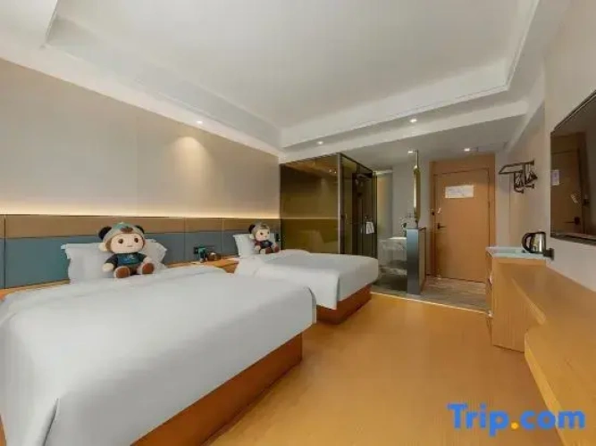 Standard Twin Family room
