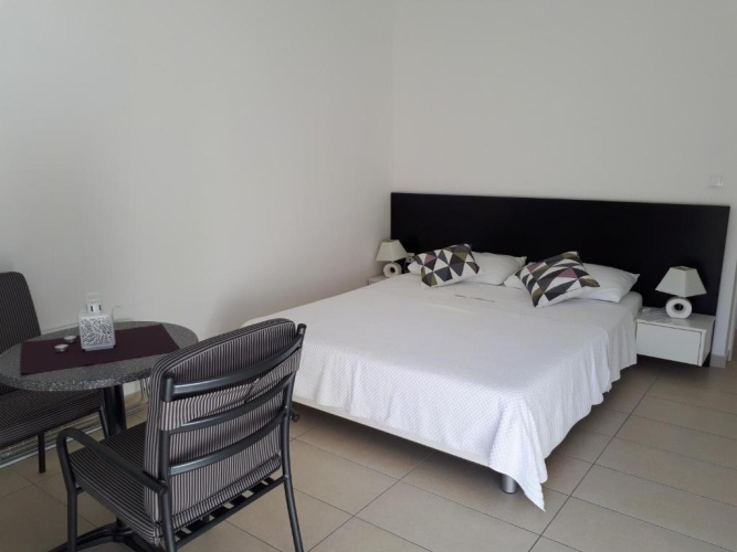 Standard Double room with balcony and with view