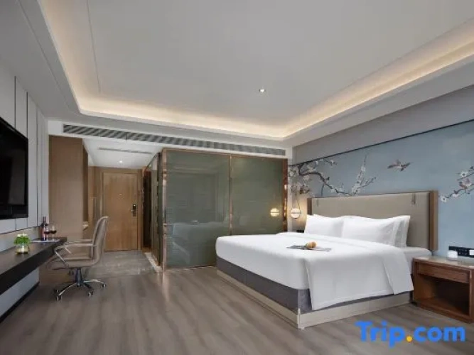 Deluxe Double room with city view