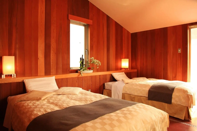 Standard Twin room with mountain view