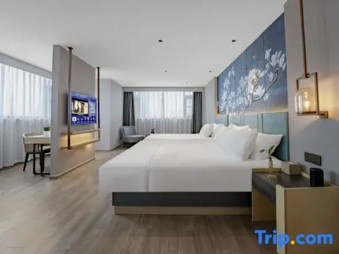 Standard Twin Family room