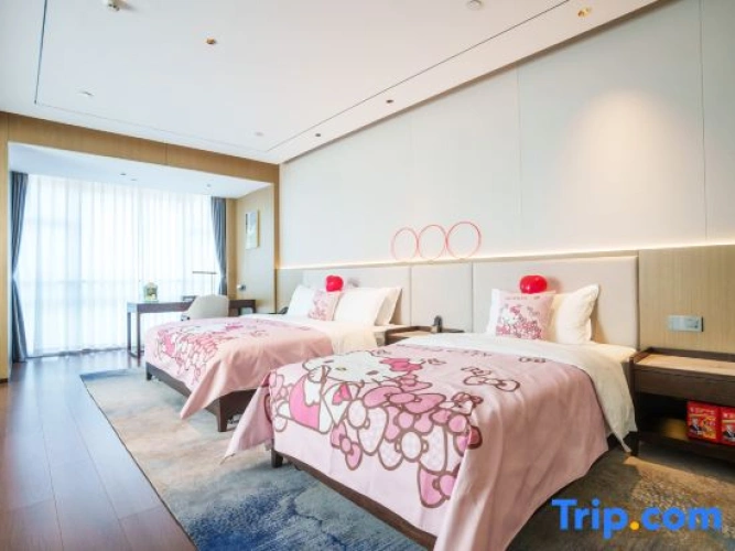 Standard Double room with city view