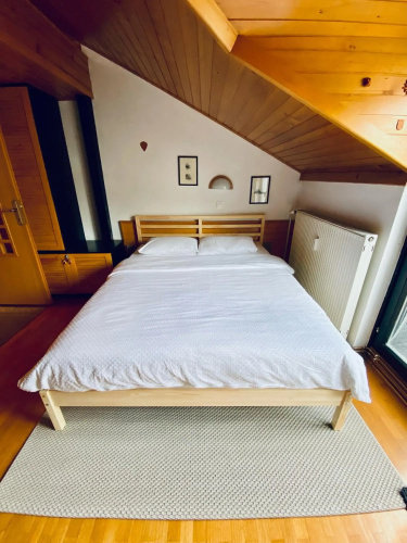 Snežinka 1