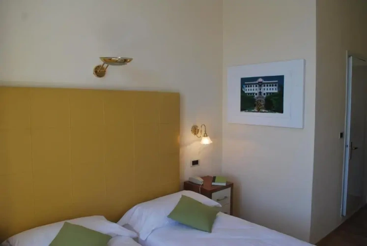 Standard Double room with lake view