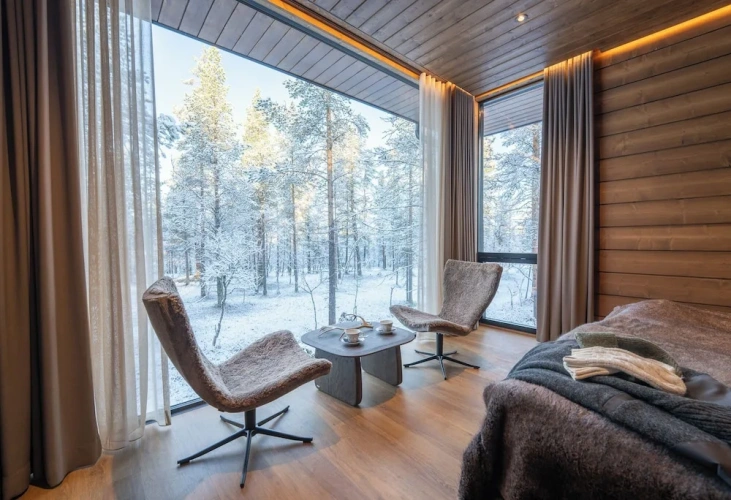 Premium Duplex Suite with park view