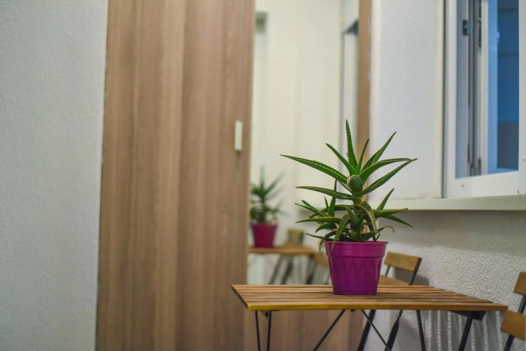Luxury "Cube" Apartment