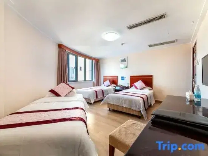 Standard Double room with ocean view