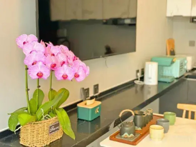 Jiangyuuxue Homestay