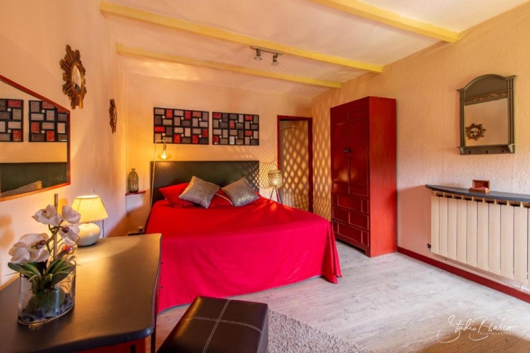 Standard Double room with garden view