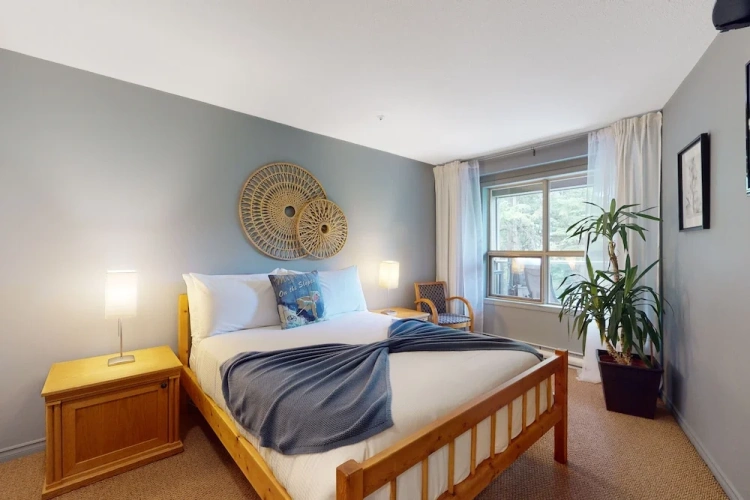 1 Bedroom Standard room