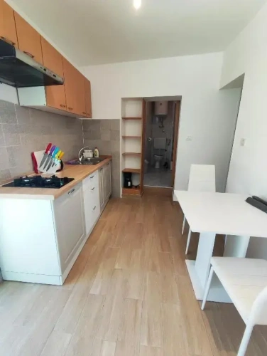 Basement Apartment