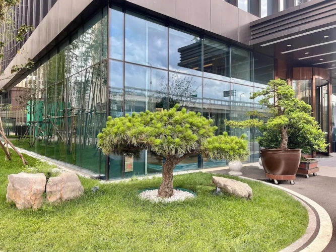 Business Double room with city view