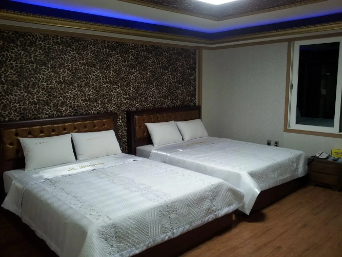 Single Suite