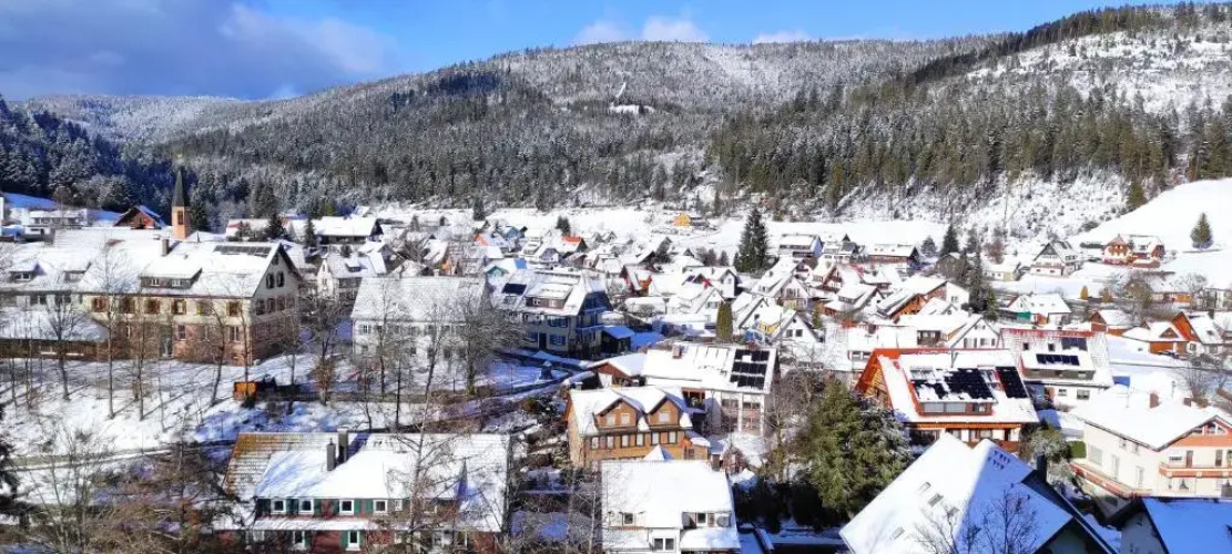 Ferienwohnung Vogelnest im Schwarzwald