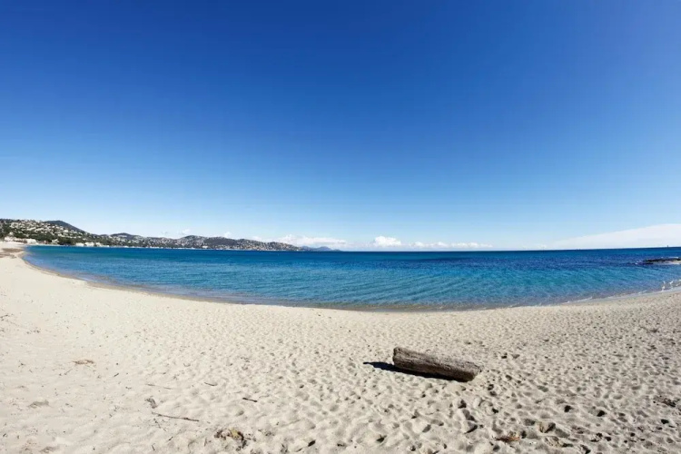 L Crin Sainte Maxime 101