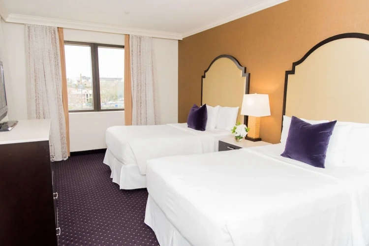 Luxury Quadruple Suite