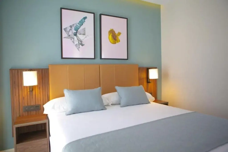 Deluxe Superior Double room