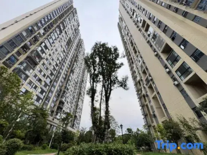 Yueyang Tower Qiyue Homestay