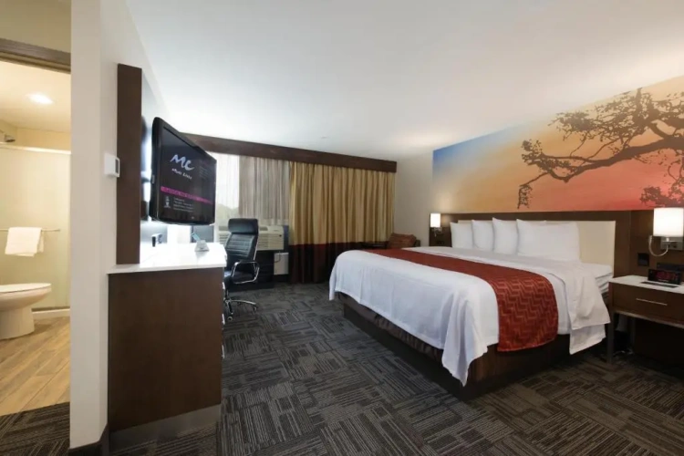 Standard Double room with pool view