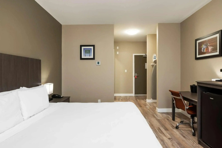 Econo Lodge City Centre Inn