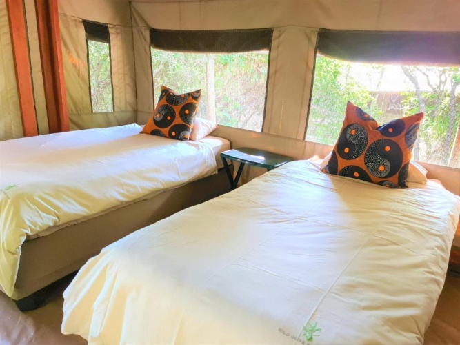 Tent