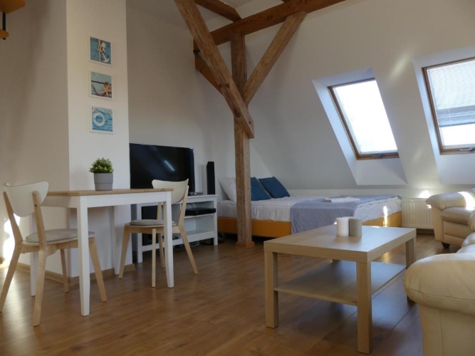 Standard Apartment