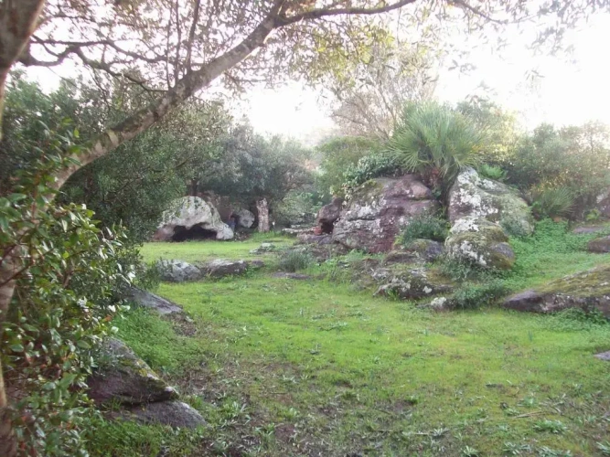 1 Bedroom Cottage
