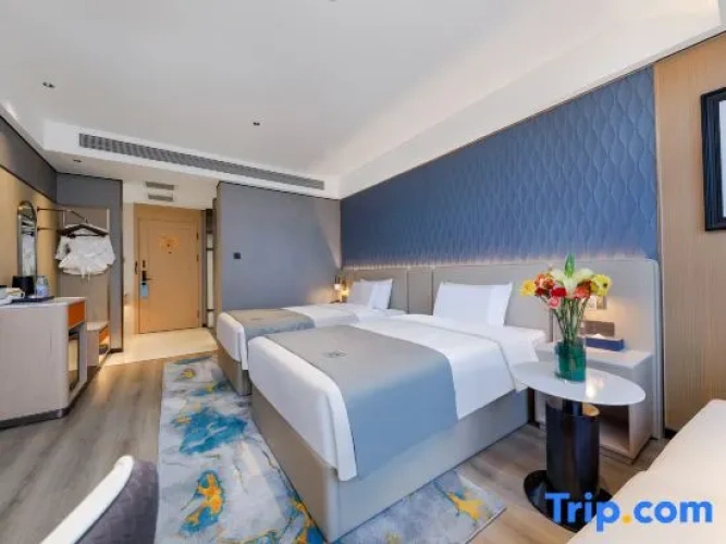 Deluxe Twin room with street view
