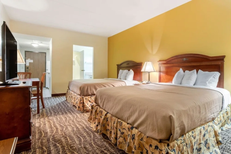 Standard Double room