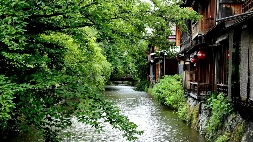 Tsumugi MatsubaraSakaimachi