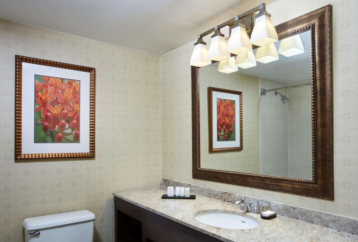 Embassy Suites by Hilton Parsippany photo 9