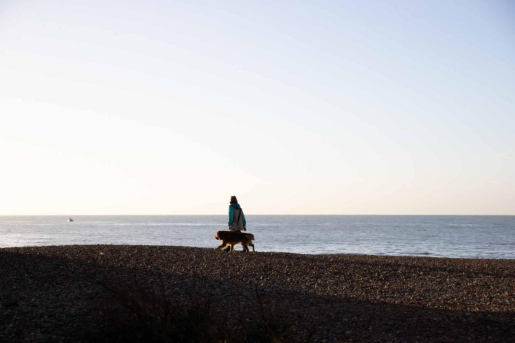 The Relais Cooden Beach photo 25