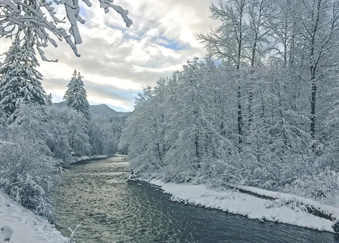 Salmon River Condo #5
