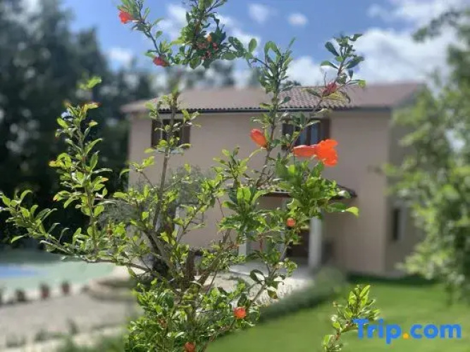 House Andrijasi