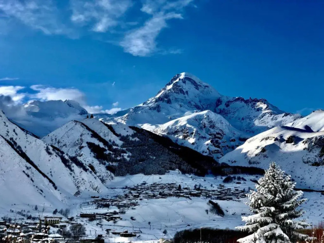 Фотография номера гостиницы Toliketi