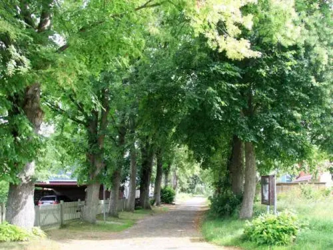Ferienhaus Boddenruhe 120S