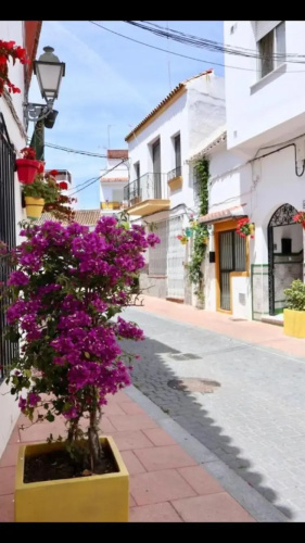 Estepona port