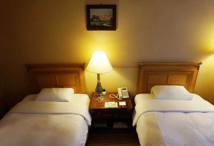 Business Twin room with city view